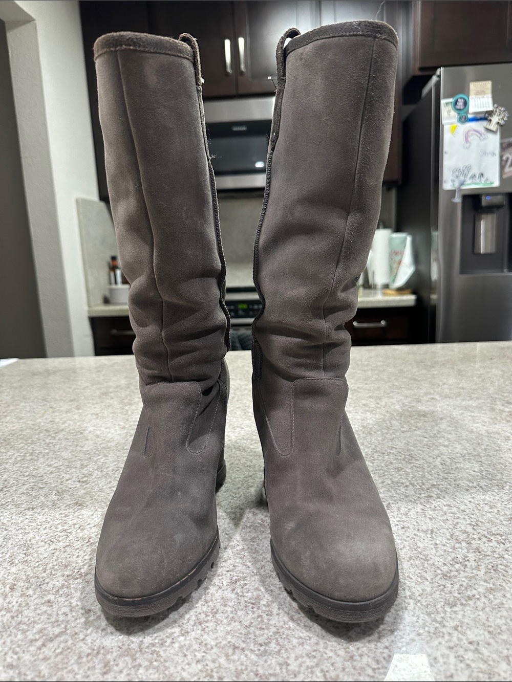 UGG Tall Suede Knee Boots in Gray